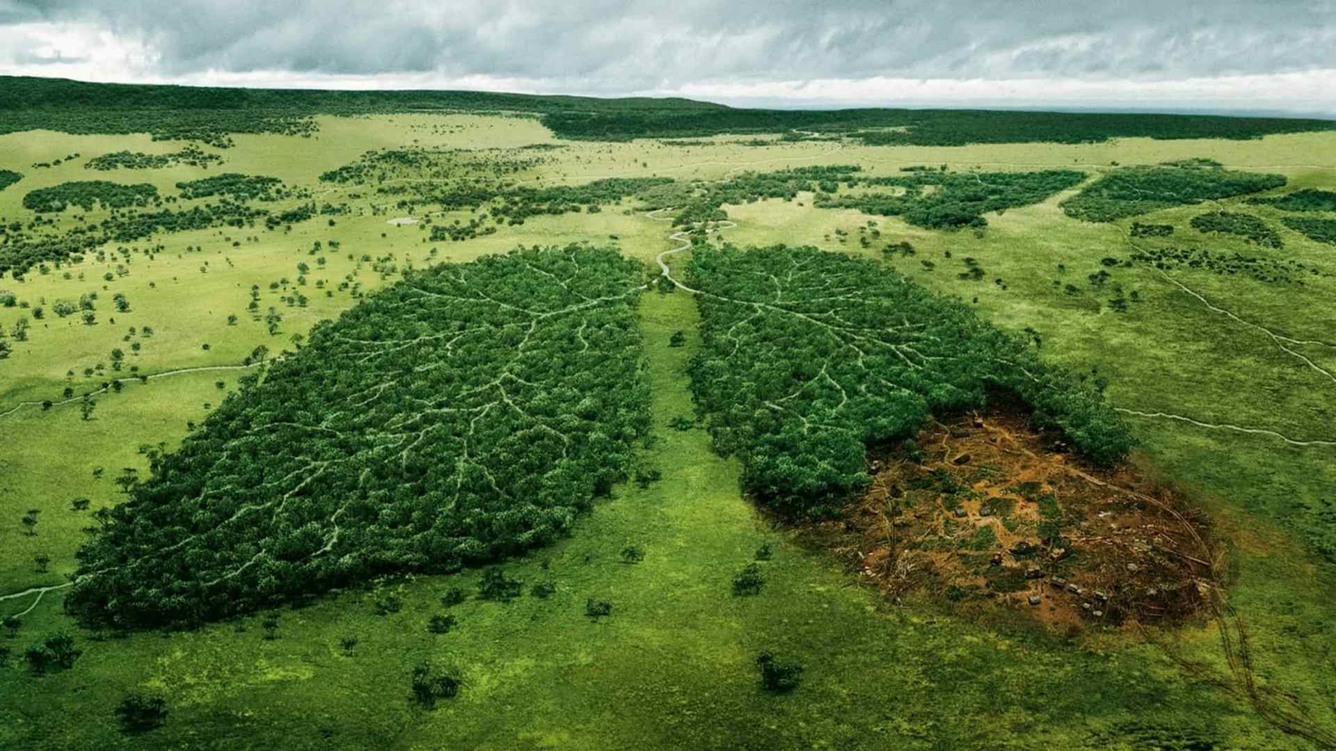 Protecting the environment is protecting people
