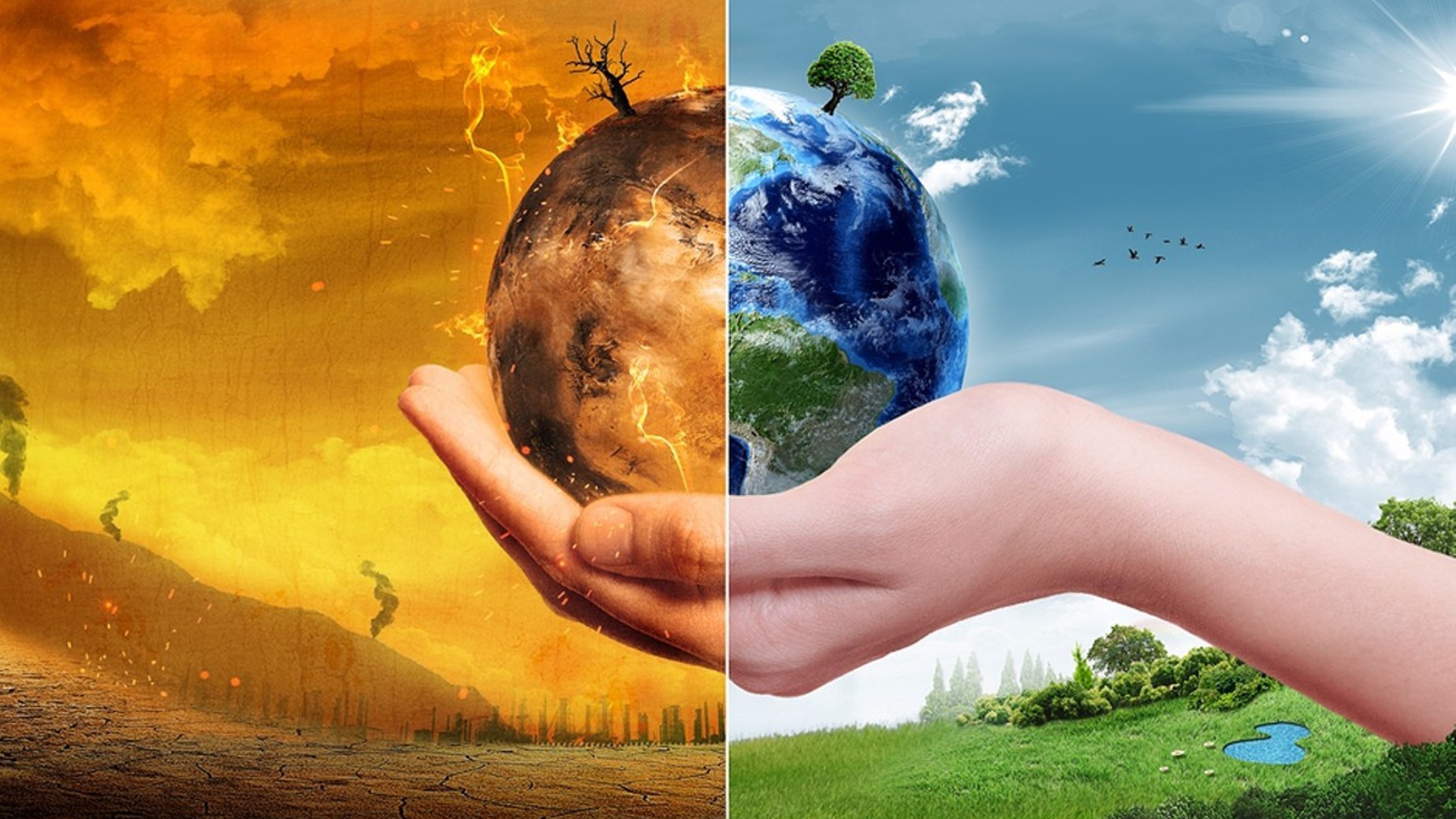 Environmental issues have no geographic or political boundaries and affect everyone
