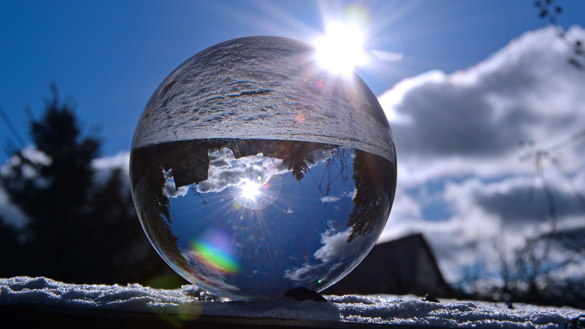 Environmental protection prevents natural disasters